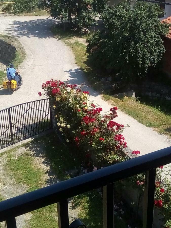 Sobe Seka Hotell Golubac Exteriör bild